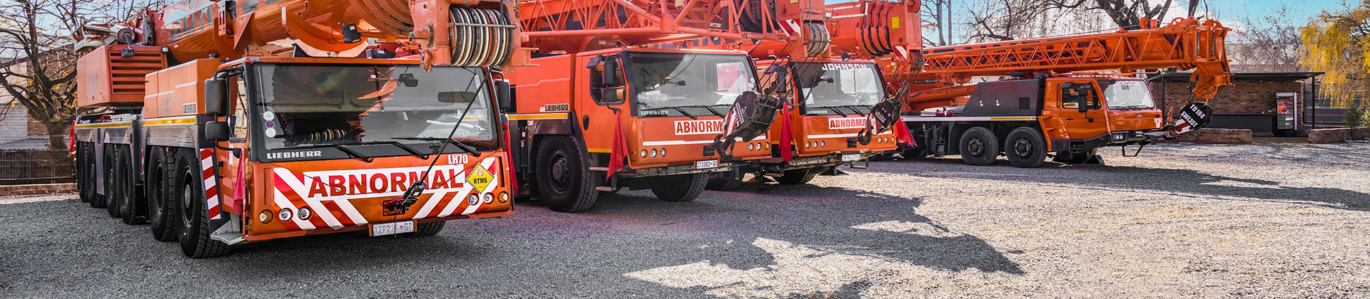 Mobile Crane tyres