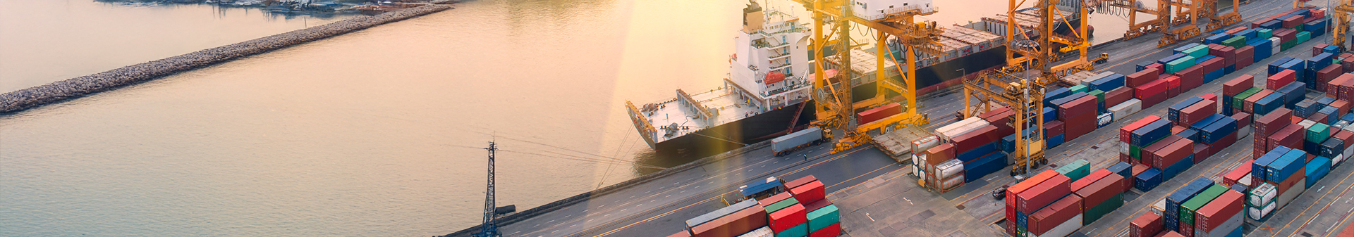 Cargo ship docked at a busy harbor with cranes and containers, highlighting the need for durable harbor tires for port equipment.